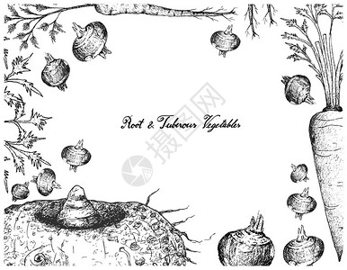 块根和块茎类蔬菜的手绘框架图片