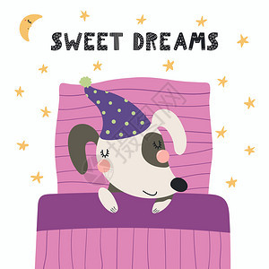 可爱的滑稽狗在睡前用枕头和毯子睡觉图片
