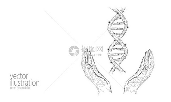 DNA3D化学分子结构手低聚多边形三角形点线健康细胞显微科学白色医学基因组工程矢量图解未来图片