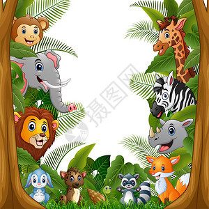 插画动物森林卡通见面会图片