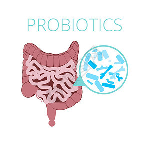 带有益生菌图标的肠道菌群载体概念图片