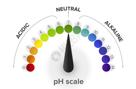 测量pH值标度压力表信息图表从酸到中再到碱所有步骤是用于指定水溶液的酸度或碱图片