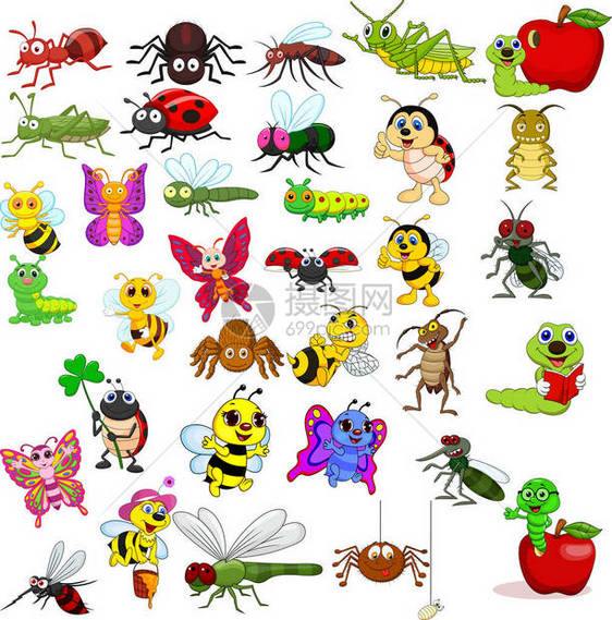 卡通昆虫采集集的矢量图解图片