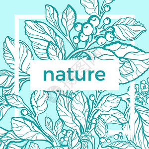 自然包装的矢量模板热带芳香植物有机伴侣枝叶花浆果的复古花卡艺术设计素描花卉形状生物的颜图片