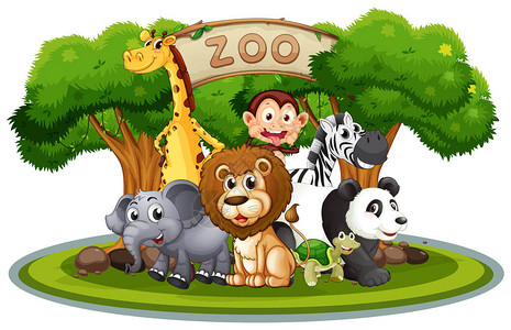 动物园里的可爱动物插画图片
