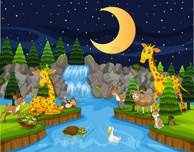 夜间河边的野生动物插画图片