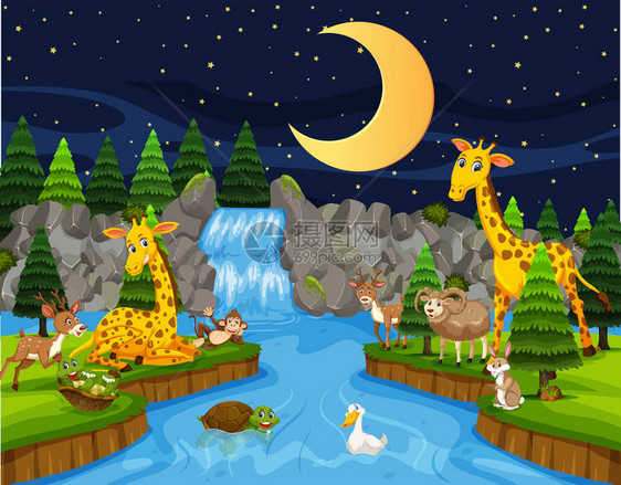 夜间河边的野生动物插画图片