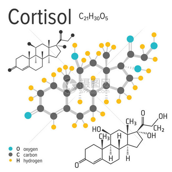 载体皮质醇分子的化学表达式图片