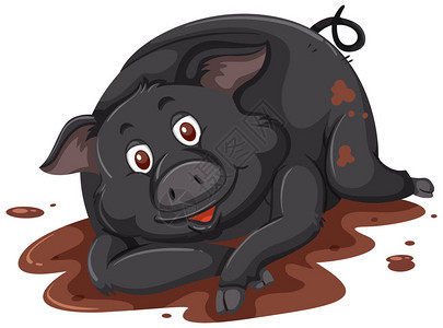 一只黑猪在玩泥插图图片