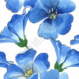 水彩蓝色亚麻花卉植物花无缝背景图案织物壁纸打印背景包装图案框架或边框图片