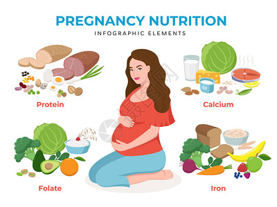 孕妇饮食平面设计矢量图中的妊娠营养信息图表元素孤立在上的孕妇人物高钙富含铁叶酸蛋白质插画