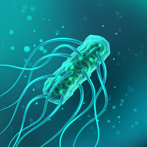 细菌的载体伤寒沙门氏菌与鞭毛显微镜医疗科学微生物和细菌绿松石图片