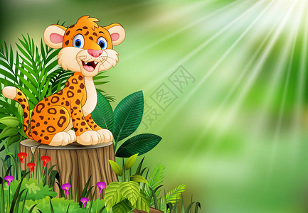 动画片愉快的豹子在树桩与绿色植物背景图片