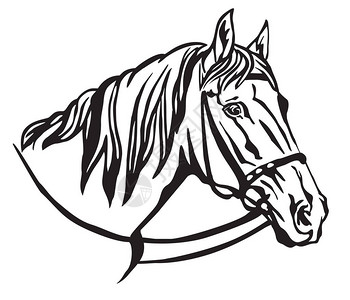 装饰肖像在马的轮廓与缰绳矢量孤立插图的白色用于设计和纹身的图像图片