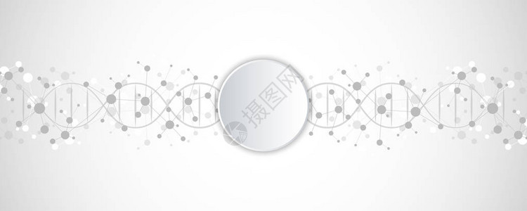 dna链和分子结构基因工程或实验室研究用于医疗或科技设计的纹理向量例证图片