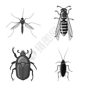 昆虫和苍蝇图标的矢量设计昆虫和元素存量矢量图的采集图片