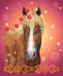 矢量彩色插图马的肖像与不同的花在鬃毛隔离在粉红色梯度背景与装饰装饰装饰和圆圈艺术和设计的形象图片