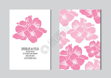 优雅的卡片与茉莉花设计元素可用于婚礼淋浴母亲日情人节生日贺卡问候老式装饰花图片