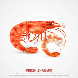 海鲜虾现实广告图片