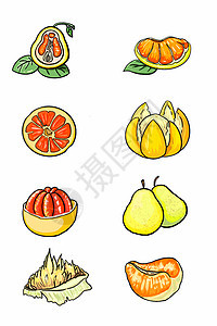 简约冬季柚子手绘插画图片