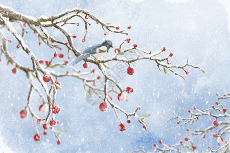 月牙泉雪景雪站在树枝上的小鸟配图gif动图高清图片