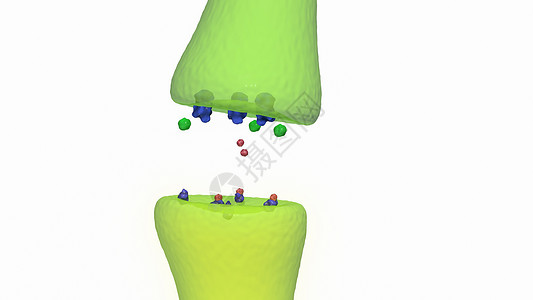 神经发射器受体抗抑郁药与神经受体结合设计图片