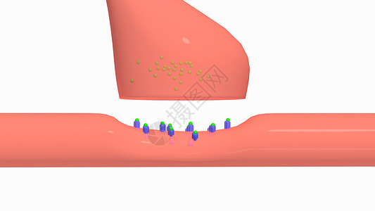 神经发射器受体多动症中的神经递质释放设计图片