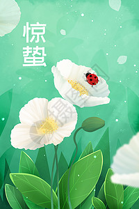 唯美清新惊蛰花间瓢虫竖图插画图片