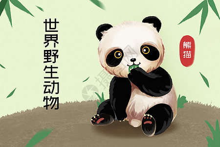 世界野生动物熊猫插画图片