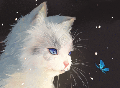 雪阳光温馨动物之猫和蝴蝶gif动图高清图片