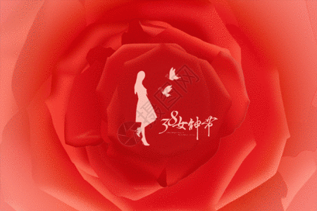 创意女神节玫瑰剪影gif动图图片