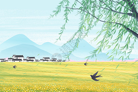 燕子柳树清明节春天的乡村在油菜花盛开的户外插画
