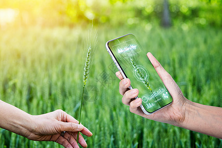 科技农业创意手机数据图片
