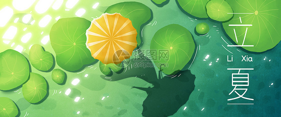 二十四节气立夏夏季池塘荷叶手绘风插画Banner图片