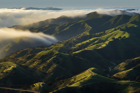 夏天绿色山丘山峦清晨云雾缭绕背景图片