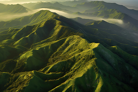 绿色山丘山峦清晨云雾缭绕背景图片