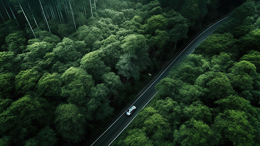 森林俯拍俯拍汽车在马路上行驶插画