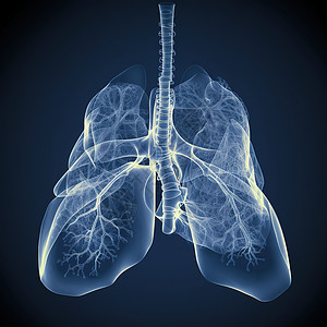 肺部x射线结果图像概念图背景图片
