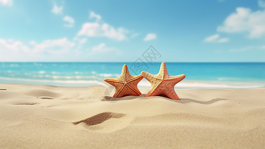 沙滩上的海星插图背景图片