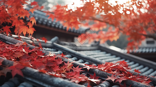 秋天枫叶落在屋顶屋檐上图片