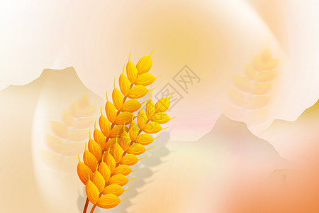秋天麦穗背景背景图片