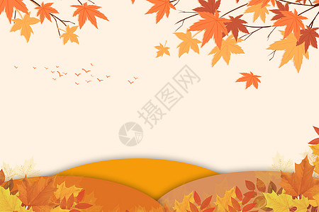 枫叶堆秋天简约背景设计图片