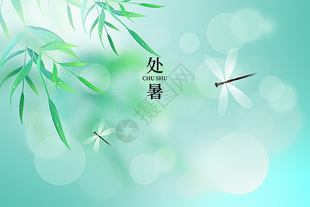 处暑绿色创意大气树叶蜻蜓图片