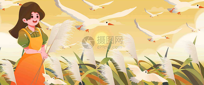 白露节气插画banner图片