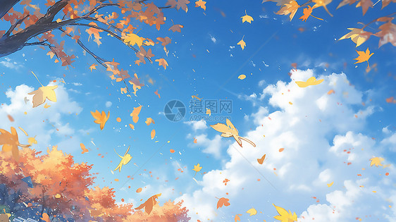 秋天蓝天落叶图片