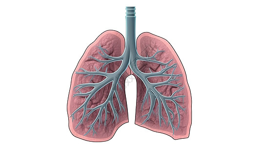 创意概念图肺部内部器官背景图片