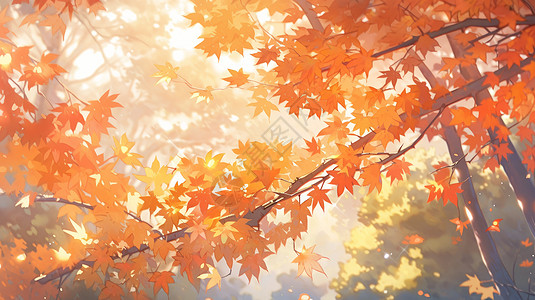 秋天唯美的卡通红色枫树图片