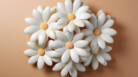 几朵漂亮的白色立体卡通小雏菊图片