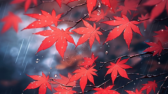 唯美的雨中卡通红色枫叶图片