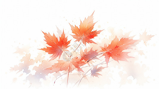 漂亮的橙红色卡通枫叶，背景图片